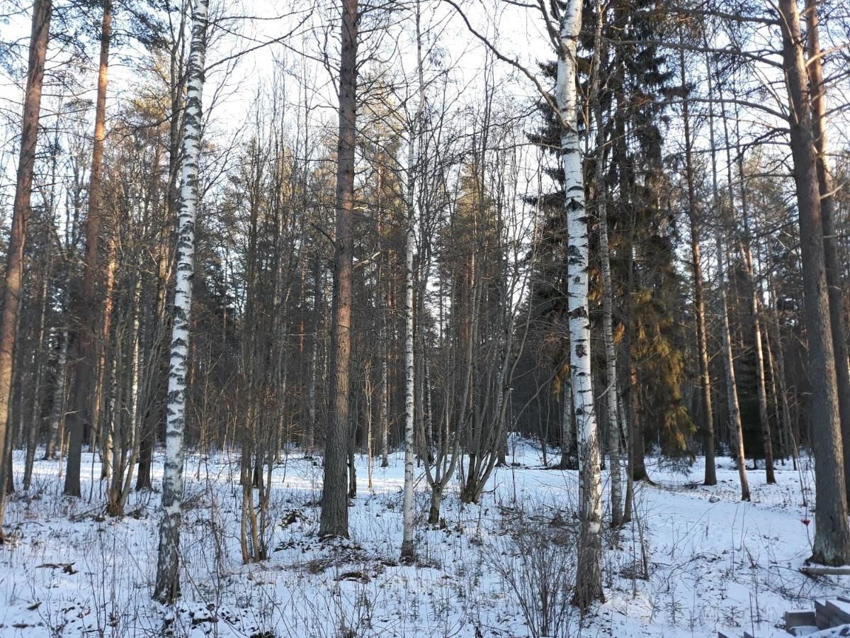 Гостевой дом Majoitus Linnunlahti Йоэнсуу