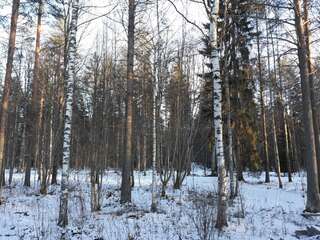 Гостевой дом Majoitus Linnunlahti Йоэнсуу-0